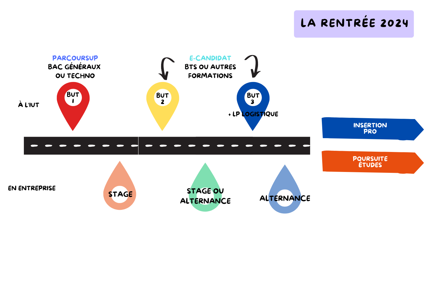 Infographie BUT